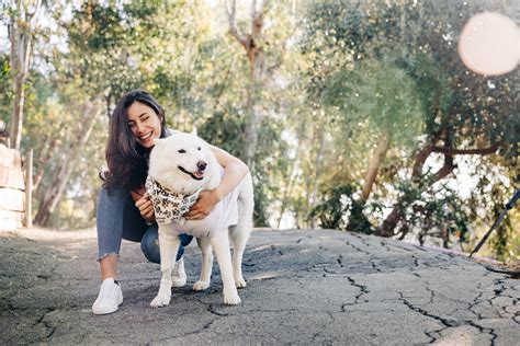 celine halioua|pills for dogs to live longer.